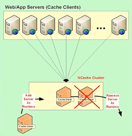 Dynamic Cache Cluster