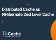 Distributed Cache as NHibernate Second Level Cache