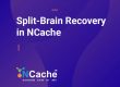 Split Brain Recovery in NCache
