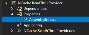 AssemblyInfo.cs file