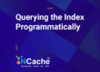 Efficient Querying Through Programmatic Indexing in NCache