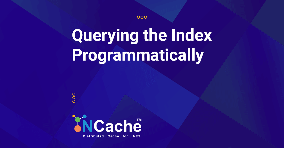 Efficient Querying Through Programmatic Indexing in NCache