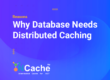 Reasons Why Your Database Needs Distributed Caching