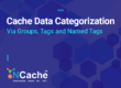 Cache Data Categorization Via Groups, Tags and Named Tags