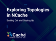 Scaling Out and Staying Up: Exploring Topologies in NCache