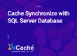 Cache Synchronize with SQL Server Database
