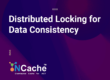 Distributed Locking for Data Consistency
