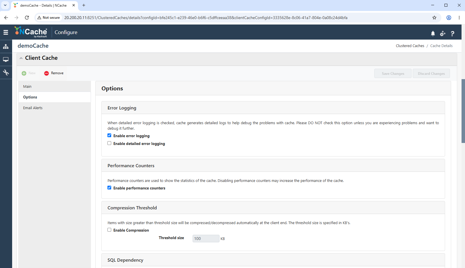 Client Cache Options