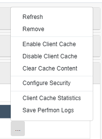 Disabled Client Cache Web