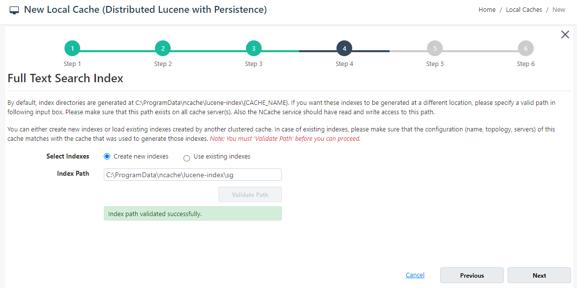 Lucene Index Path Validation