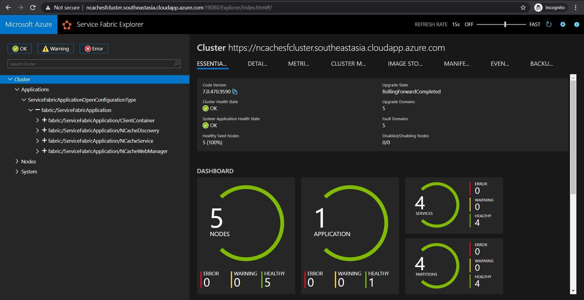 Service Fabric Cluster