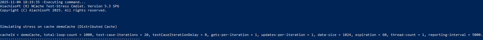 Test Cache Usage Output