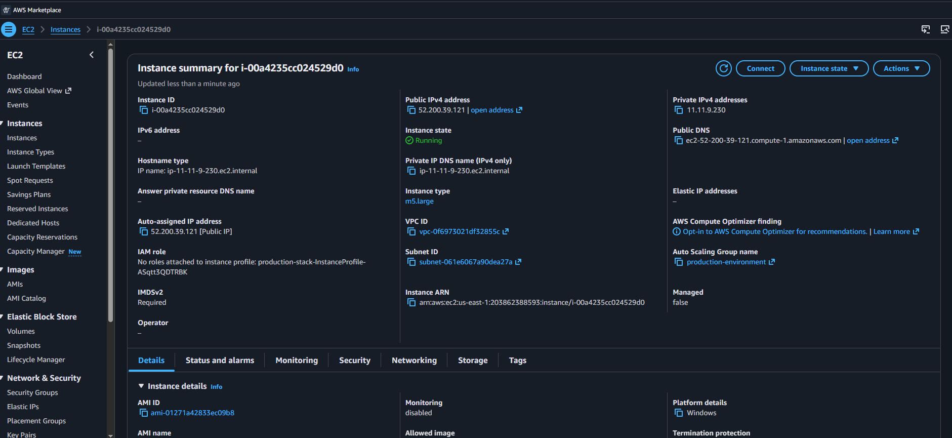 Instance Summary