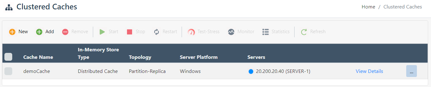 Cache View Details