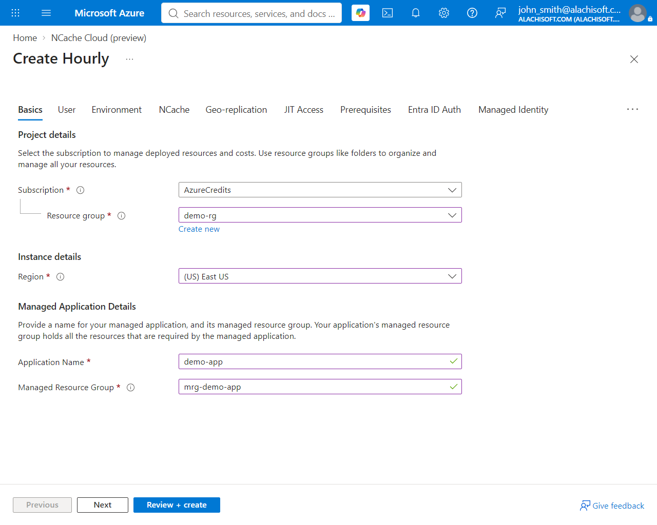 Hourly Basics Form