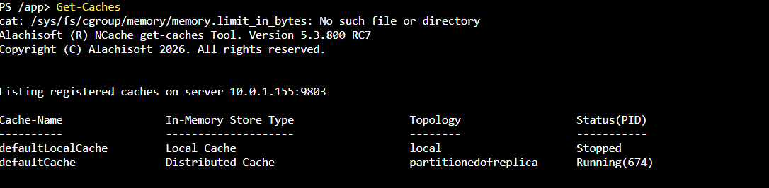 Get Caches