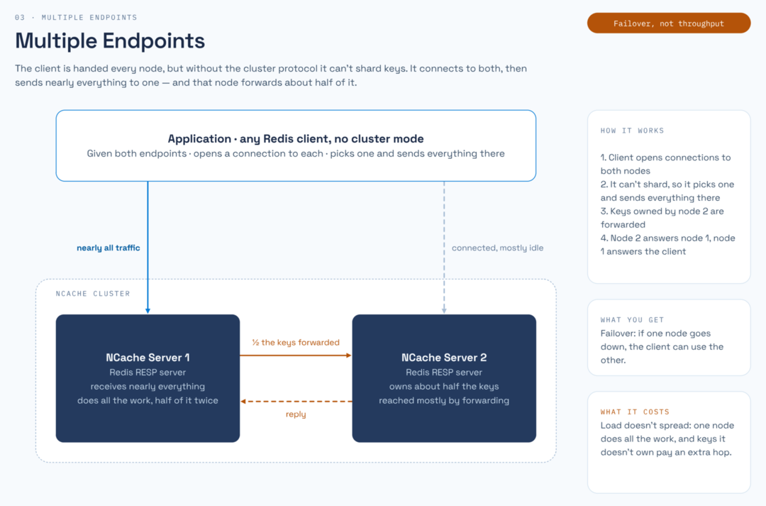 Multiple Endpoints RESP architecture