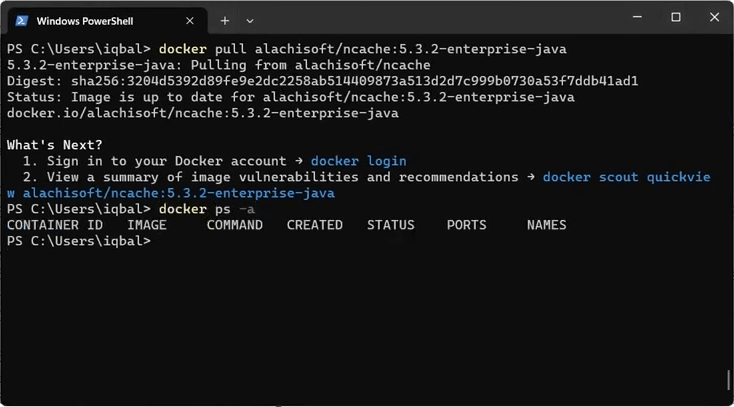 Docker Pull-Befehl