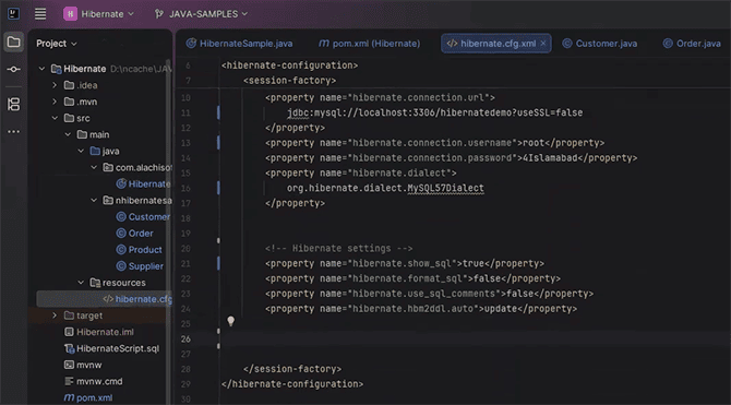 Hibernate Config File