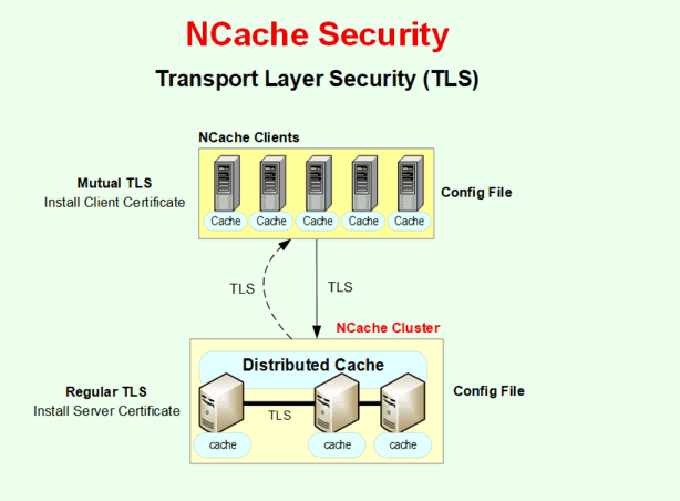 Transport Layer Security (TLS)
