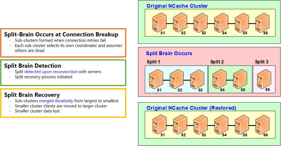 Split-Brain Recovery